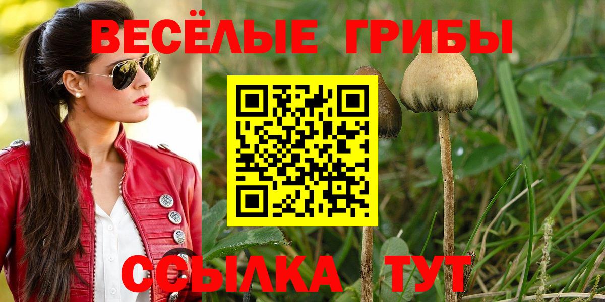 Десногорск  Галлюциногенные грибы GOLDEN TEACHER  Вход с VPN 
